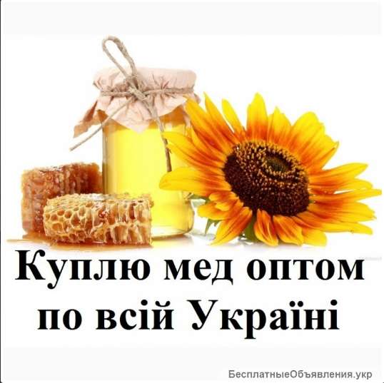 Куплю мед, закупка меду оптом, вся Україна