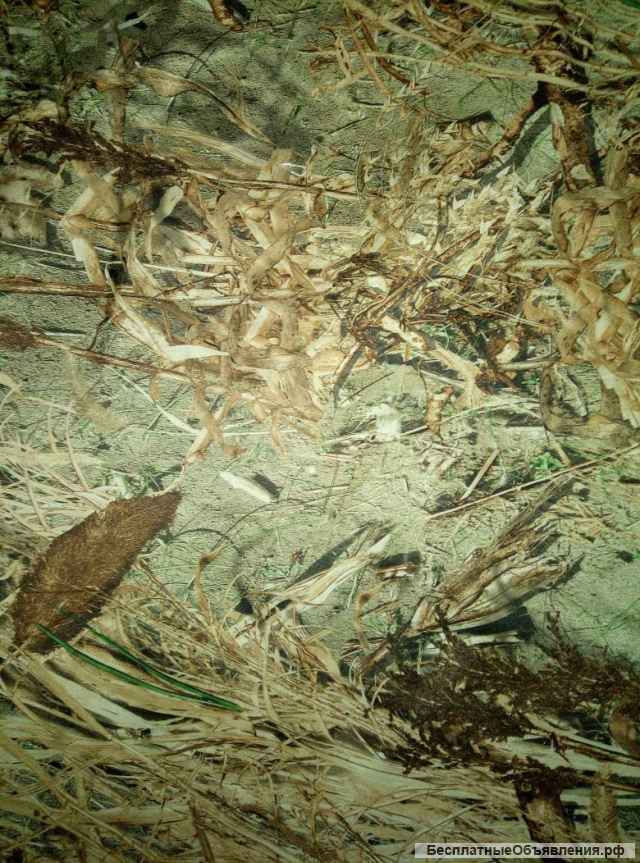 Ткань оптом Ставрополь