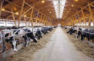 Инвесторам совместный бизнес в продуктовом импортозамещении на территории России