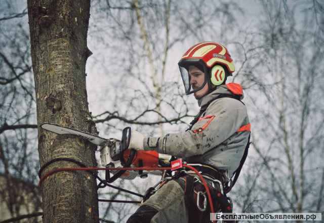 Ремонт фасадов, крыш, спил деревьев и т.д.