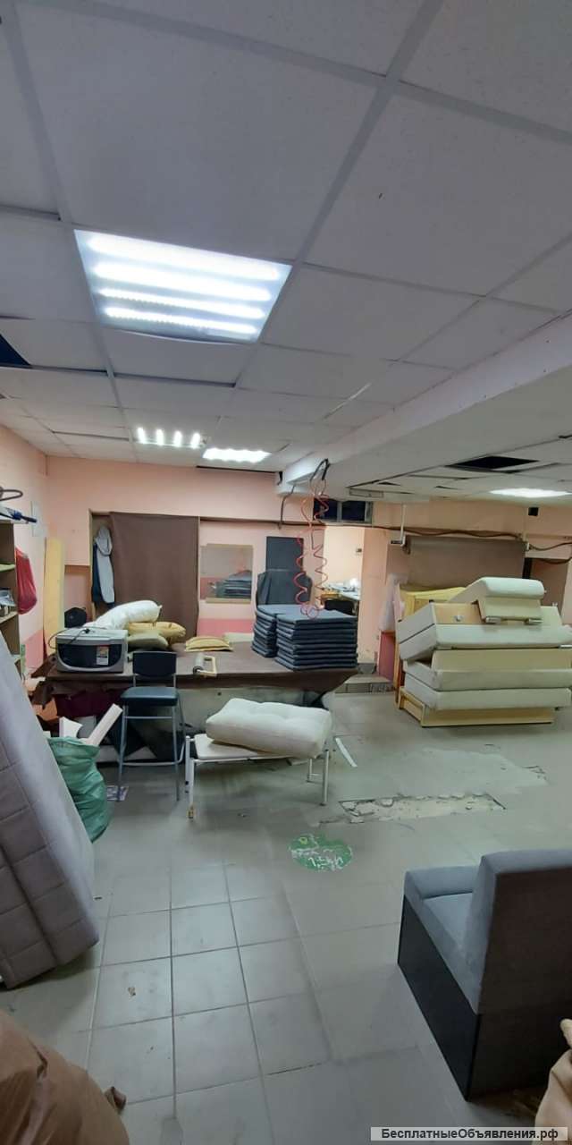 Нежилое помещение (331м)