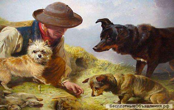 Курсы по собаководству и кинологии