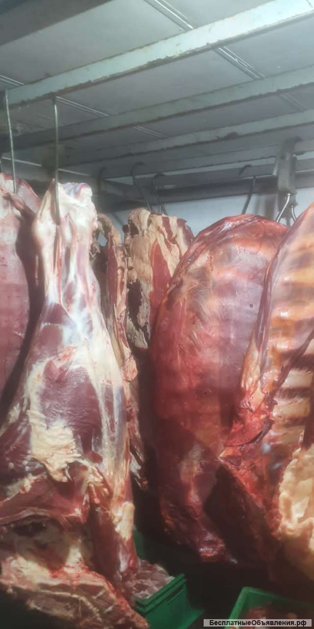 Говядина в полутушах