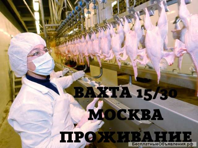 Работа упаковщиком в Москве вахта 15/30 с проживанием