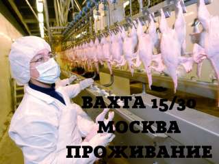 Работа упаковщиком в Москве вахта 15/30 с проживанием