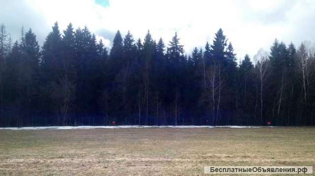 Земельный участок 6 соток ИЖС