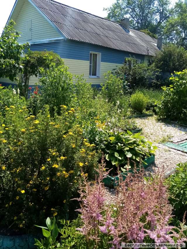 Дом 54 м2 в Рязанской области