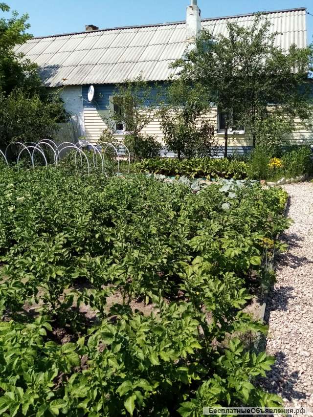 Дом 54 м2 в Рязанской области