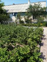 Дом 54 м2 в Рязанской области