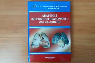 Анатомия здорового и нездорового образа жизни