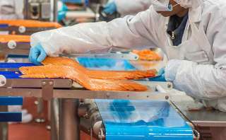 Производство рыбных изделий (лосось). Германия. Аванс по прибытию в евро