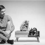 Домики и лежанки для кошек и собак