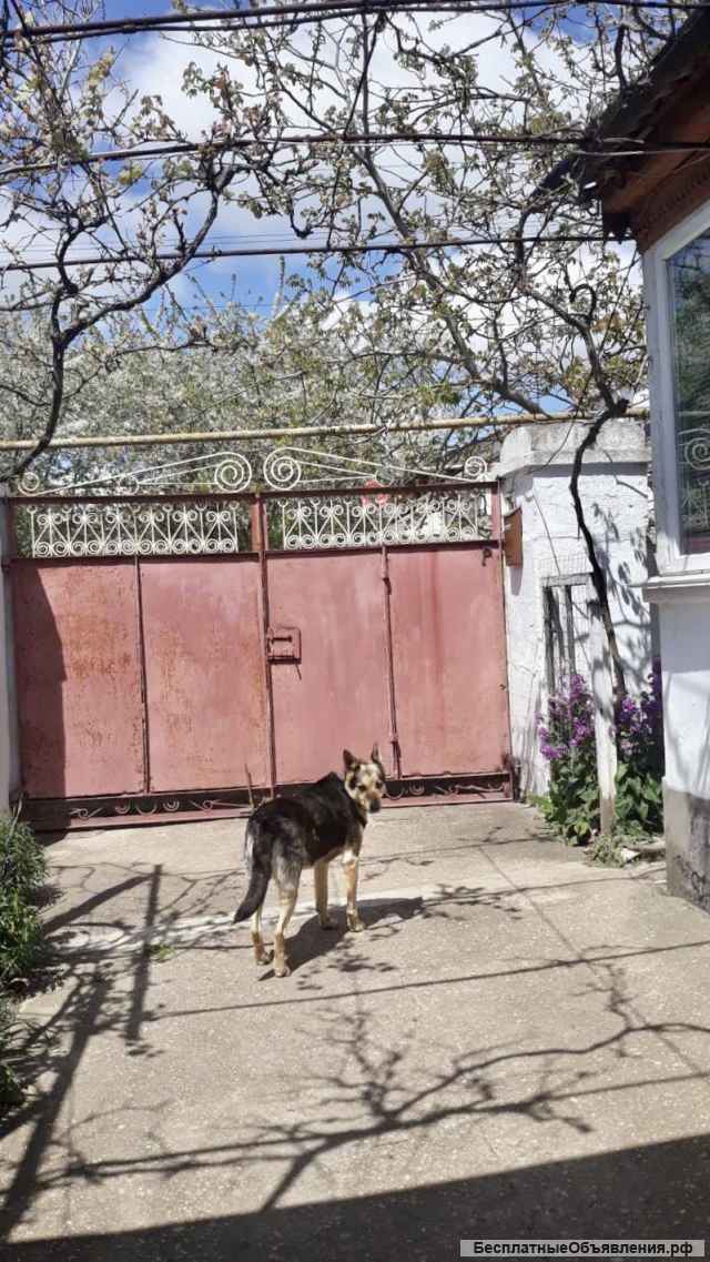 Дом в Крыму в центре города Керчь возле моря