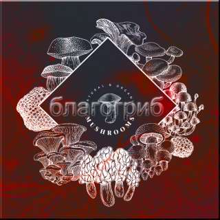 Мухоморный микродозинг. Всё новое это хорошо забытое старое