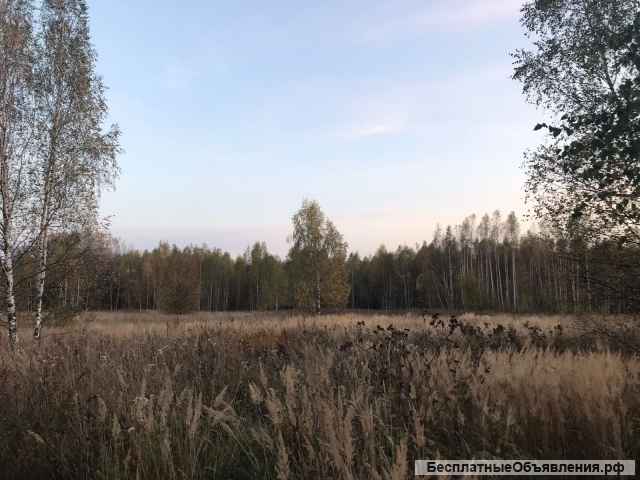 Участок 13,8 гектар в д. Воскресенское для сельхозпроизводства