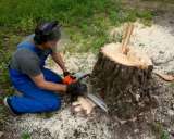 Разнорабочие. Землекопы. Грузчики