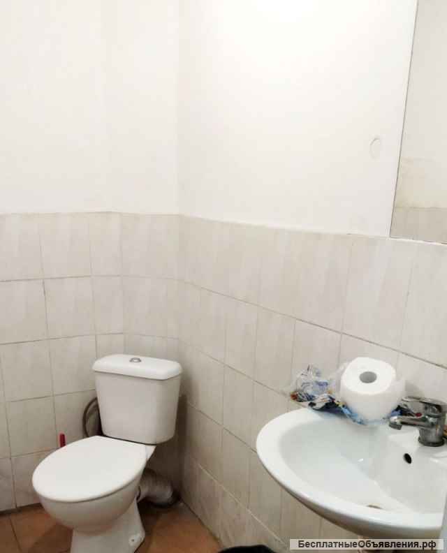 Помещение на л. Борзова