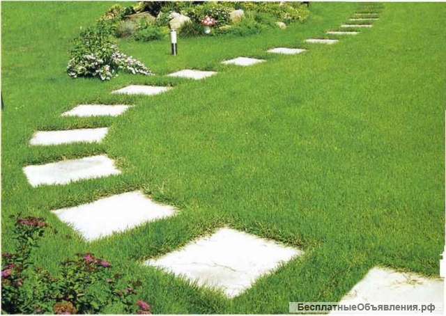 Укладка и посев газона