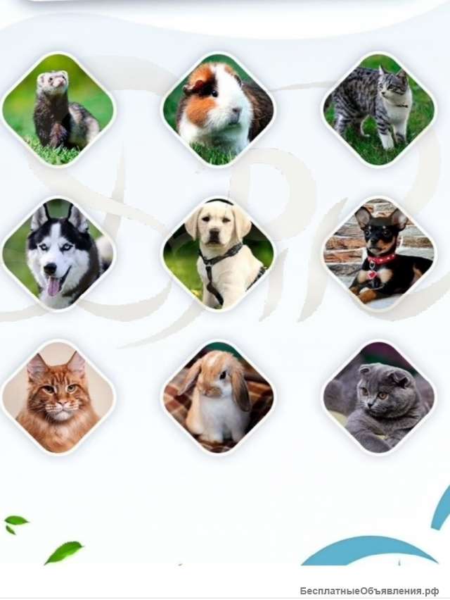 Многоразовые пеленки