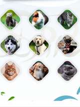 Многоразовые пеленки