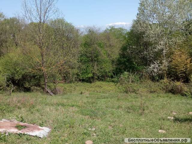 Зем.участок 10 сот с разеш-м на стр-во в Сочи (с. Черешня).