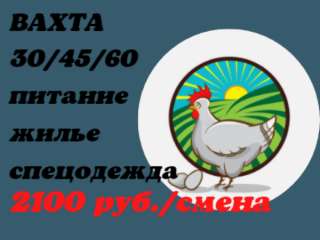Рабочие на птицефабрику (убой) жилье, питание