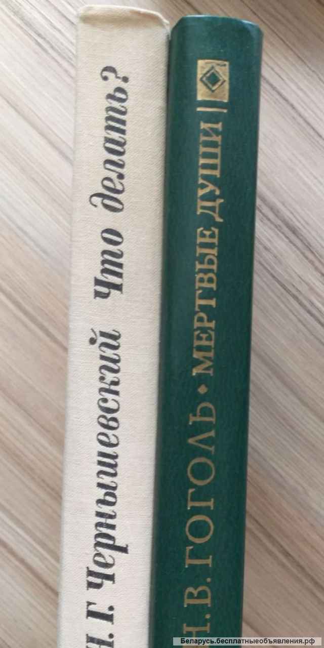 Чернышевский Н.Г.-Что делать