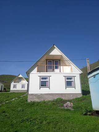 Кумызолечение