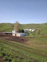 Кумызолечение