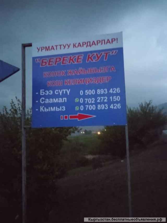 Кумызолечение