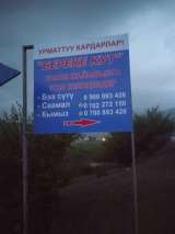 Кумызолечение