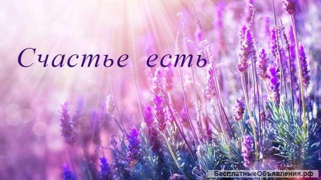 Консультации, магия