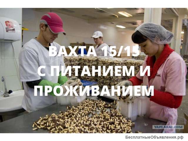 Упаковщик на вахту с питанием и проживанием 15/15 в Москве