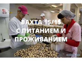 Упаковщик на вахту с питанием и проживанием 15/15 в Москве