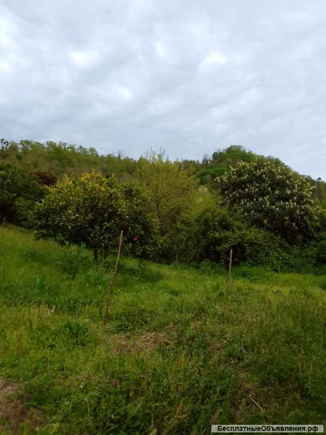 Дом в Абхазии