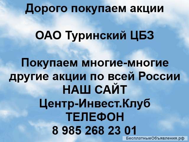 Покупка акций ОАО Туринский ЦБЗ