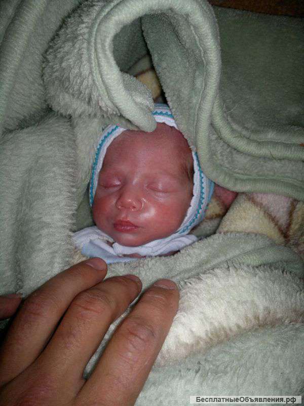 Помощь ребёнку