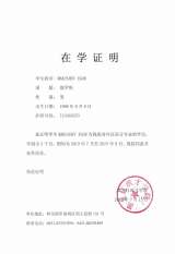 Репетитор Китайского языка