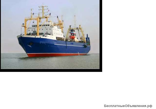 Матрос Дневальная Уборщица Вакансии на БМРТ