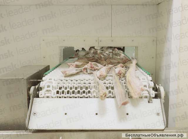 Камера шоковой заморозки со спиральным конвейером