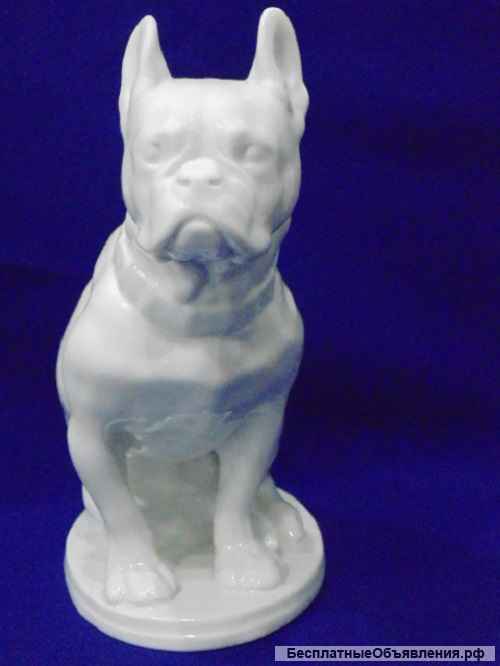 Фарфоровая статуэтка собака - "Бульдог" ЛФЗ (Ленинградский фарфоровый завод) СССР. Высота 21 см 50-х