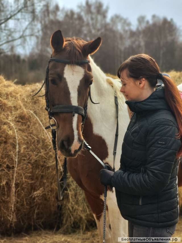 Конные прогулки