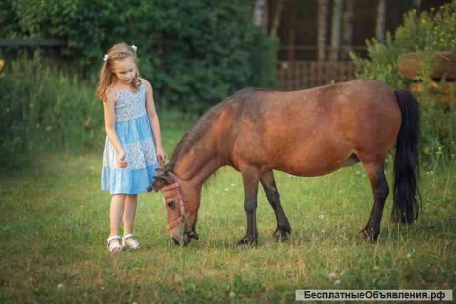 Конные прогулки