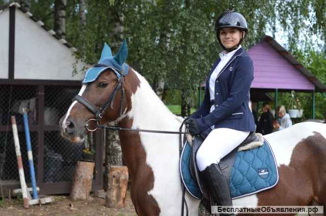 Конные прогулки