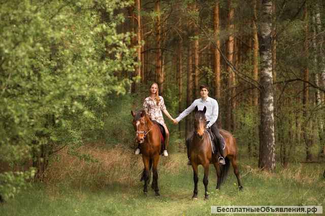 Конные прогулки
