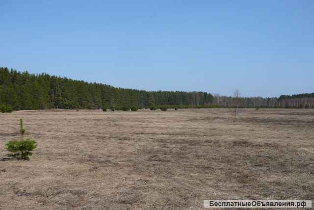 Земельный участок у Рыбинского водохранилище