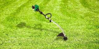 Скосим, удалим ненужное на Вашем участке