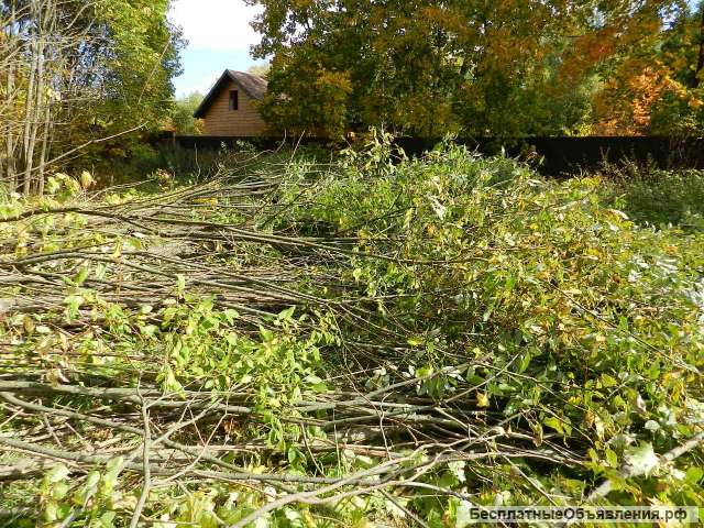 Скосим, удалим ненужное на Вашем участке