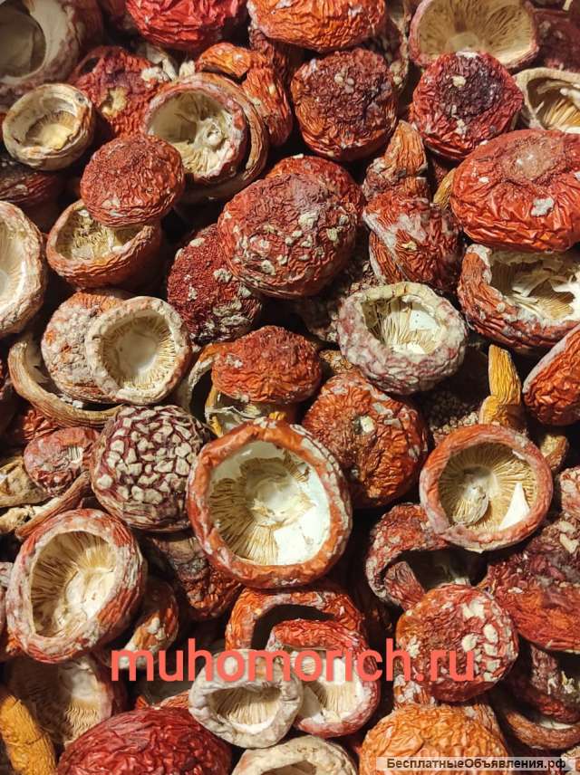 Мухоморы Сушеные