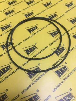 Уплотнительное кольцо 28668 OEM